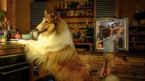 Lassie - Ein neues Abenteuer Bild 6