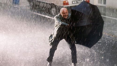 Miss mokrego podkoszulka Bild 2