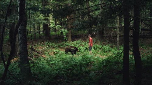 Hide Your Smiling Faces Bild 4