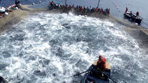 슈퍼피쉬 - 끝없는 여정 Bild 4