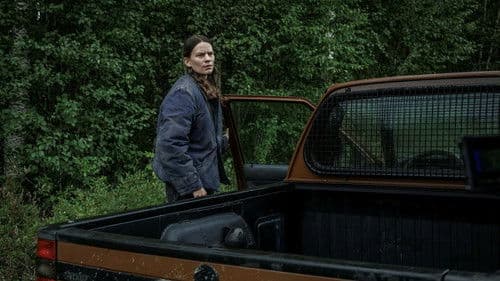 Wolfssommer – Blutige Spuren Bild 2