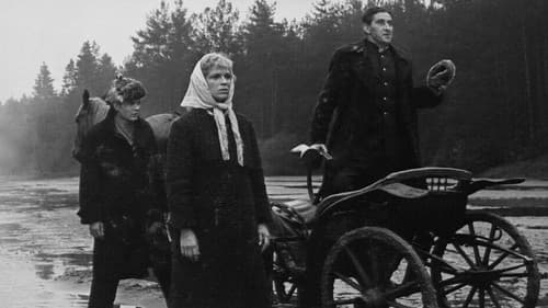 Laiptai į dangų Bild 1