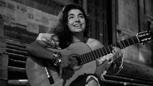 Lichter des Varieté Bild 6