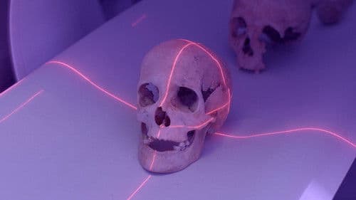 Colón ADN: su verdadero origen Bild 4