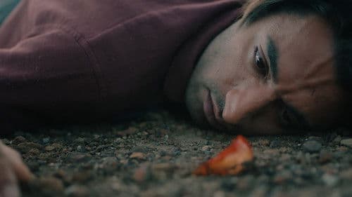 Karganın Uykusu Bild 1