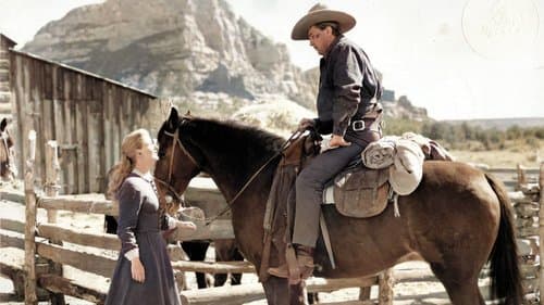 Nacht in der Prärie Bild 1