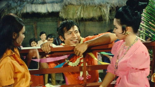 ไอ้ทุย Bild 1