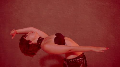 Habeas Corpus Bild 2