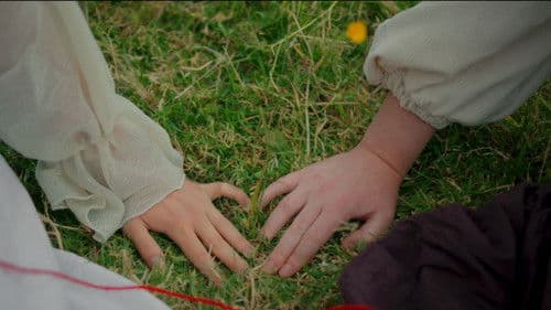 Thread: My Rose Bild 1