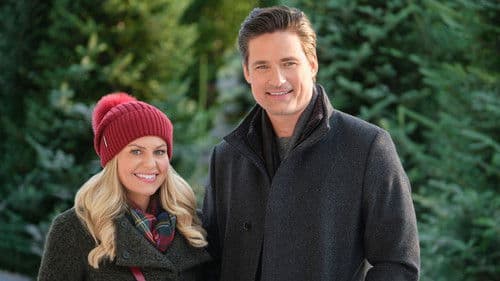 Weihnachtswünsche für den Chef Bild 2