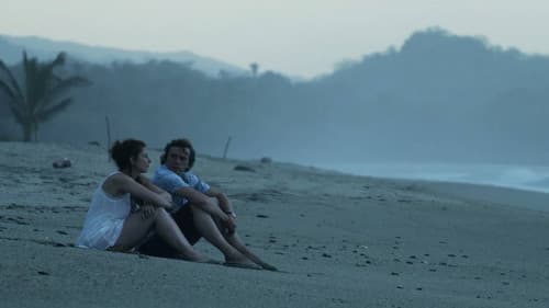 Verschollen in Kolumbien Bild 3