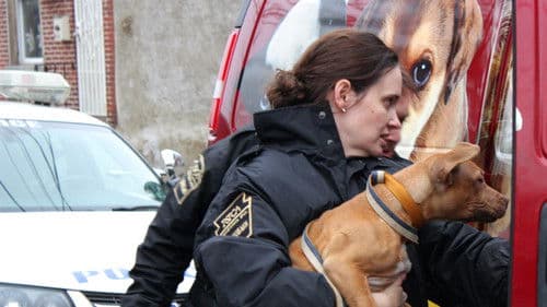 Philly Undercover Bild 2