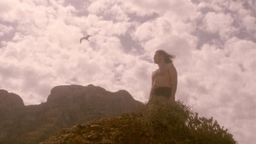 O cão de Ulisses Bild 1