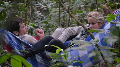 Lost Survivors Bild 1