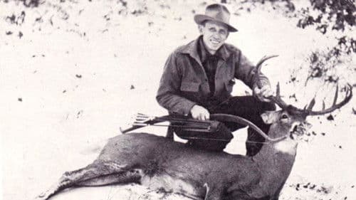 Bear Video Theater Bild 3