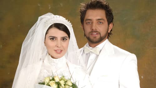 بی پولی Bild 3