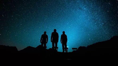 The Trust Fall: Julian Assange Bild 7