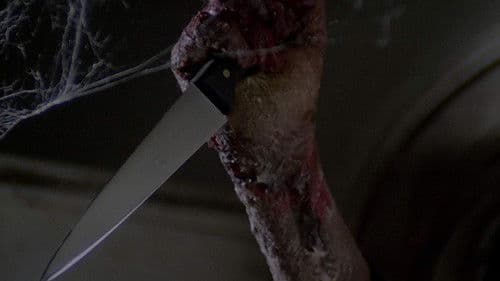 Das Haus an der Friedhofmauer Bild 8