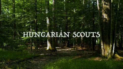 Hungarian Scouts Bild 7