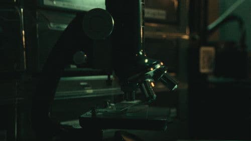 SUPERCRITICAL Bild 1