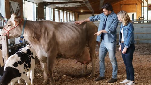 Der Wind weht Richtung Liebe Bild 2