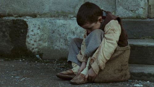 Der Holzschuhbaum Bild 2