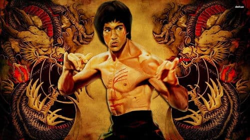 Bruce Lee - Die Legende Bild 2