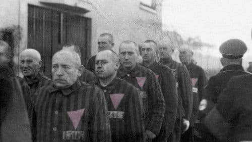 El Triángulo Rosa y la cura Nazi para la Homosexualidad Bild 1