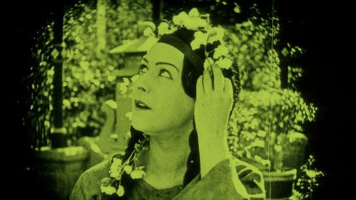 The Red Lantern Bild 3