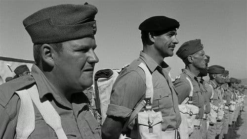 Ein Haufen toller Hunde Bild 3