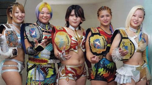 マリーゴールド Bild 1