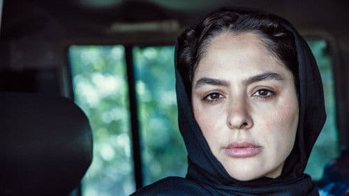 در آغوش درخت Bild 2