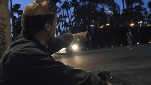 SOME KIND OF ANIMAL: A Post Animal Documentary Bild 4