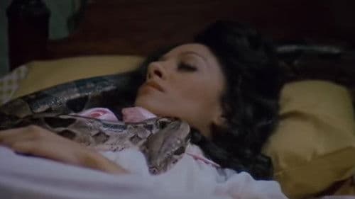 The House on Skull Mountain Bild 1