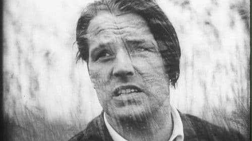 Das Stahltier Bild 3