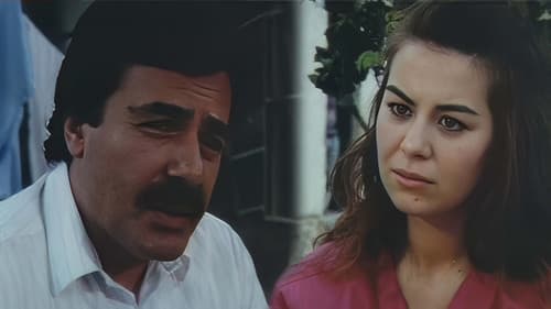 Bu Şehrin Geceleri Bild 2