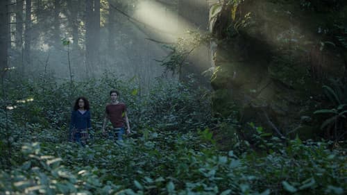 Das Zeiträtsel Bild 8