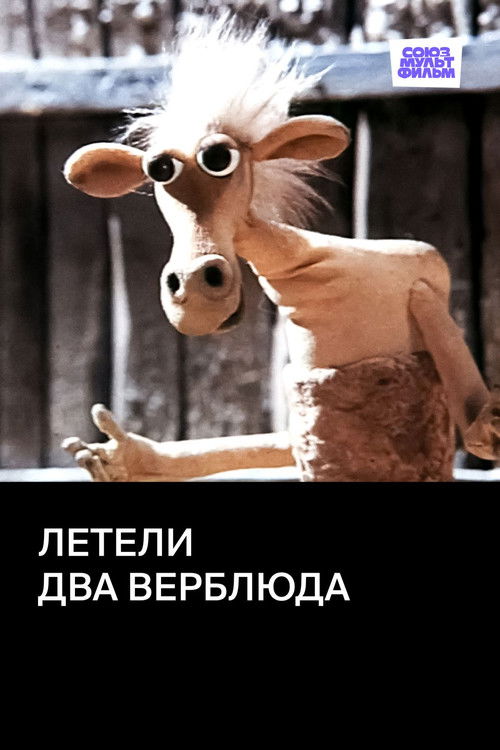 Летели два верблюда