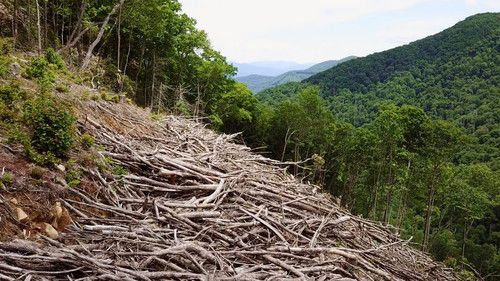 The River Runs On Bild 2