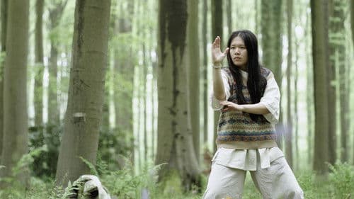 The Nomadic Falcon Bild 1