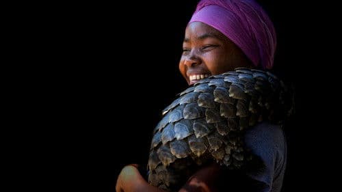 Gorongosa: Paradise Reborn Bild 1