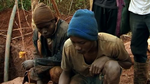 O Ouro e o Mundo Bild 7