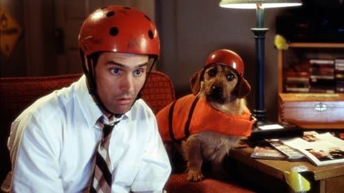 Frank McKlusky, C.I. Bild 1