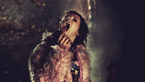 Wir sind die Nacht Bild 4