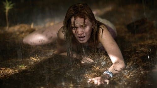 The Last House on the Left Bild 2