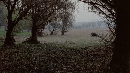 Доручак са ђаволом Bild 3