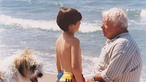 Un bugiardo in paradiso Bild 2