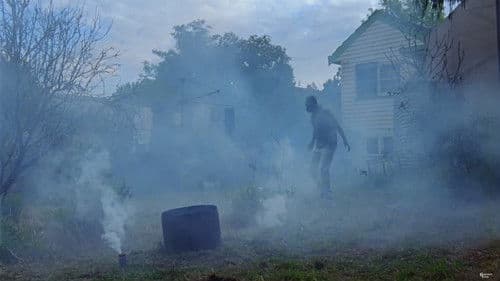 All These Creatures Bild 1