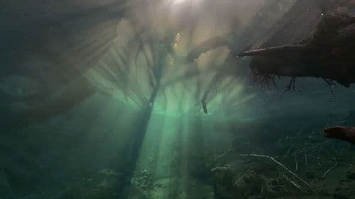 Der unsichtbare Fluss Bild 1