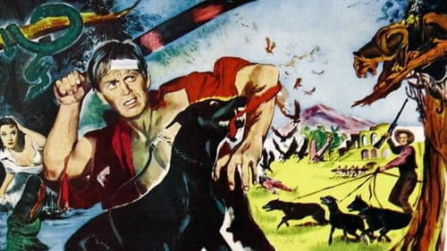 Der Sonne entgegen Bild 6